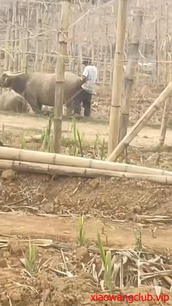 这下真的是搞牛逼的人了，牛逼！