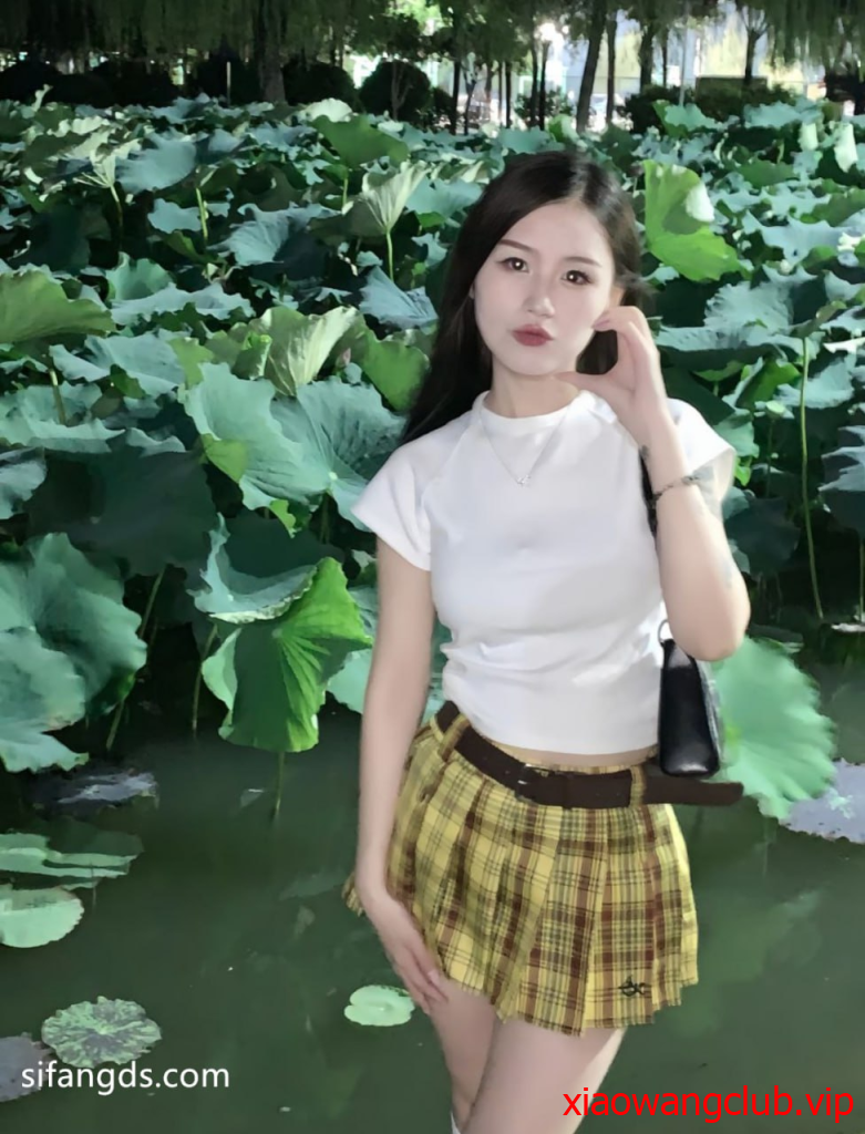 无题资源1