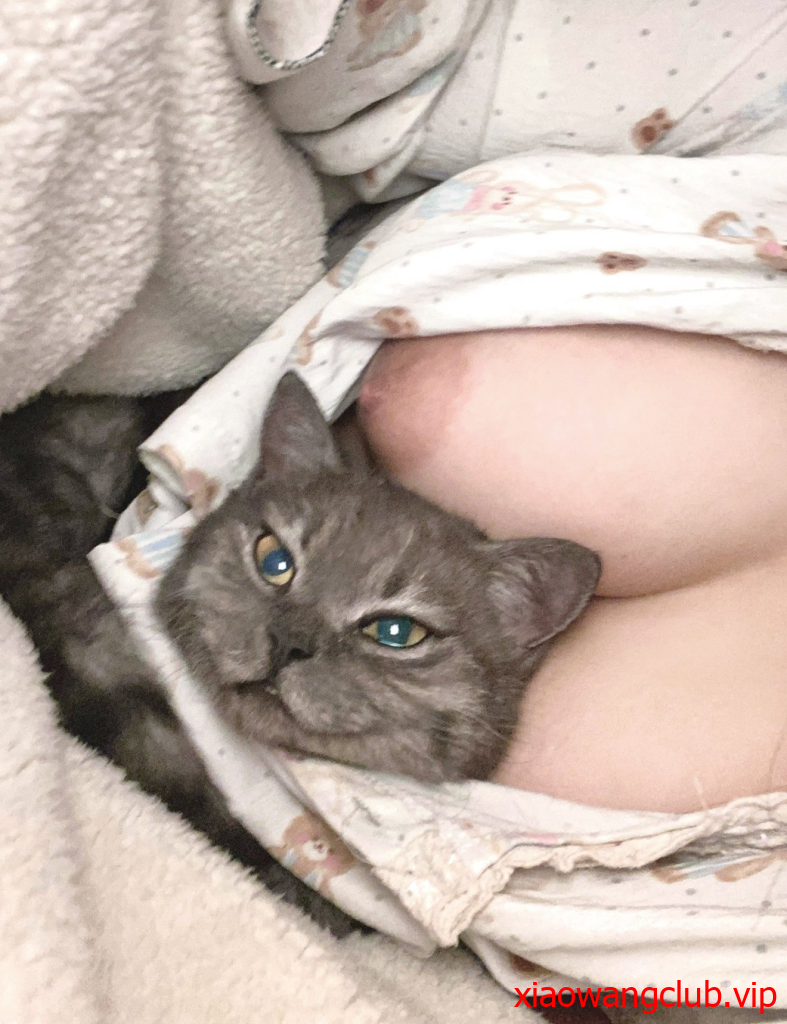 我爱我的小猫